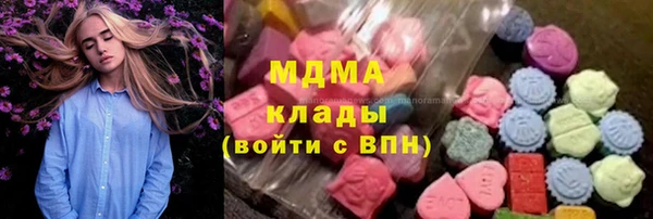 дурь Бородино