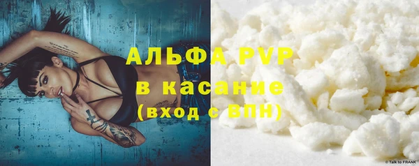 сатива Бронницы