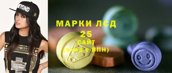 дурь Бородино