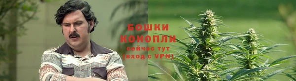 apvp Верхний Тагил