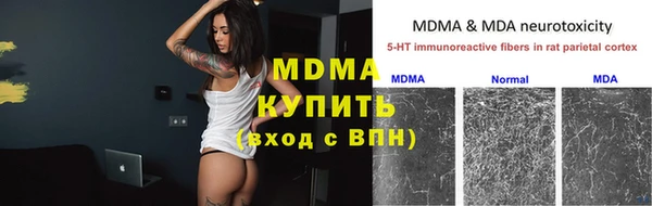 индика Переславль-Залесский