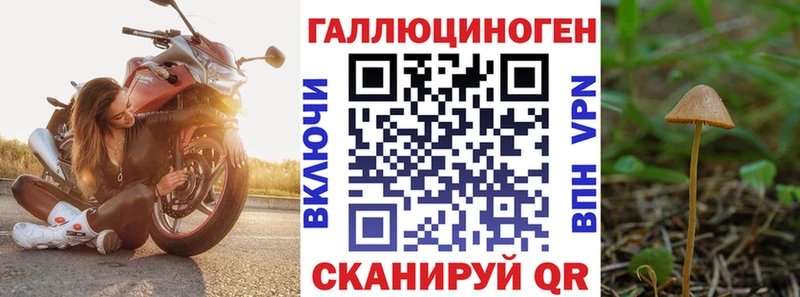 Галлюциногенные грибы Cubensis  Емва 